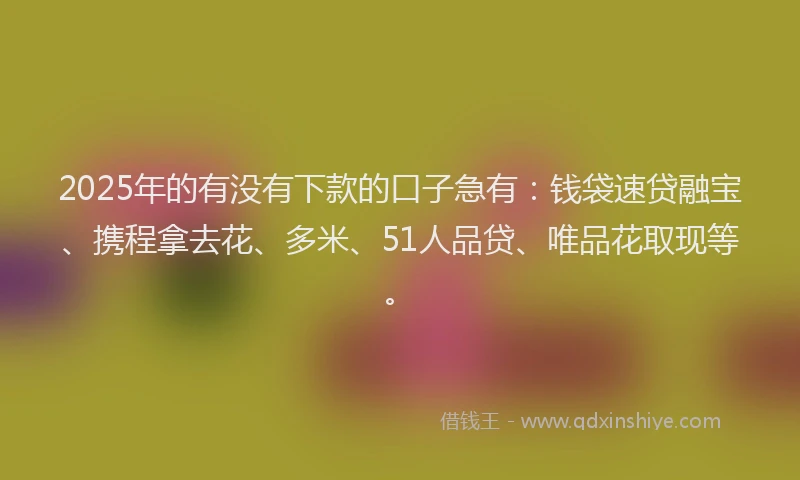 2025年的有没有下款的口子急有：钱袋速贷融宝、携程拿去花、多米、51人品贷、唯品花取现等。