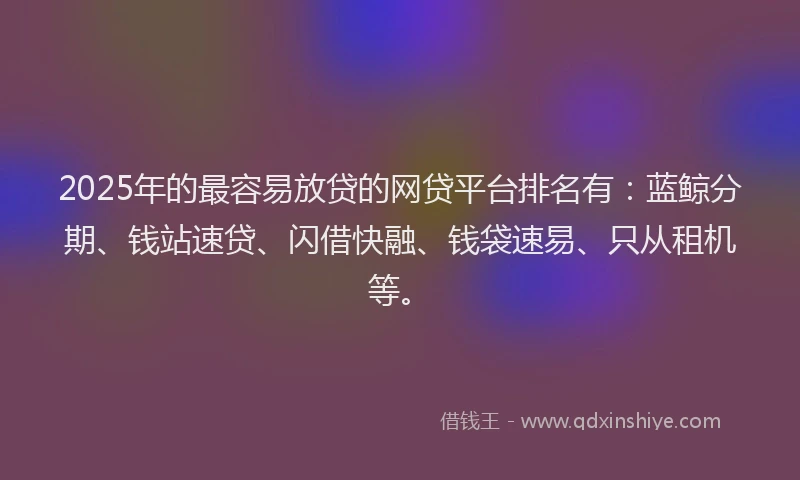 2025年的最容易放贷的网贷平台排名有：蓝鲸分期、钱站速贷、闪借快融、钱袋速易、只从租机等。
