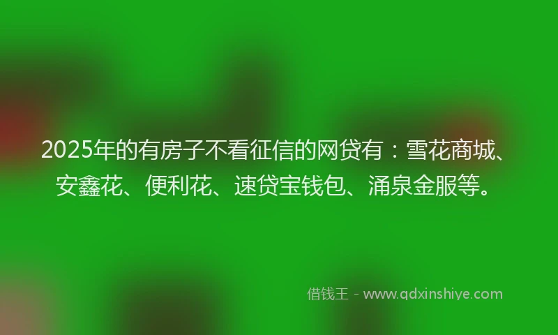 2025年的有房子不看征信的网贷有：雪花商城、安鑫花、便利花、速贷宝钱包、涌泉金服等。