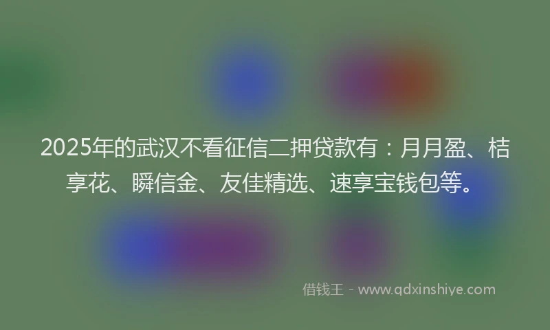 2025年的武汉不看征信二押贷款有：月月盈、桔享花、瞬信金、友佳精选、速享宝钱包等。