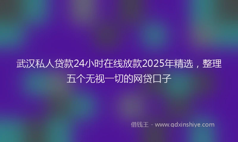 武汉私人贷款24小时在线放款2025年精选，整理五个无视一切的网贷口子