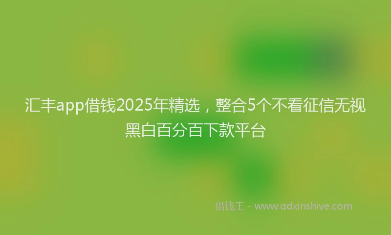 汇丰app借钱2025年精选，整合5个不看征信无视黑白百分百下款平台