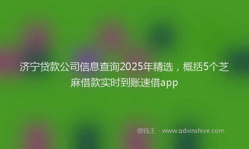 济宁贷款公司信息查询2025年精选，概括5个芝麻借款实时到账速借app