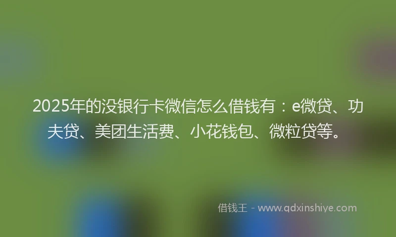 2025年的没银行卡微信怎么借钱有：e微贷、功夫贷、美团生活费、小花钱包、微粒贷等。