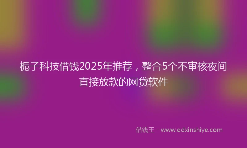 栀子科技借钱2025年推荐，整合5个不审核夜间直接放款的网贷软件