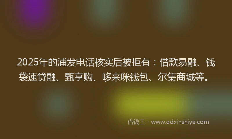 2025年的浦发电话核实后被拒有：借款易融、钱袋速贷融、甄享购、哆来咪钱包、尔集商城等。