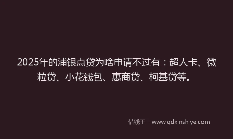 2025年的浦银点贷为啥申请不过有：超人卡、微粒贷、小花钱包、惠商贷、柯基贷等。
