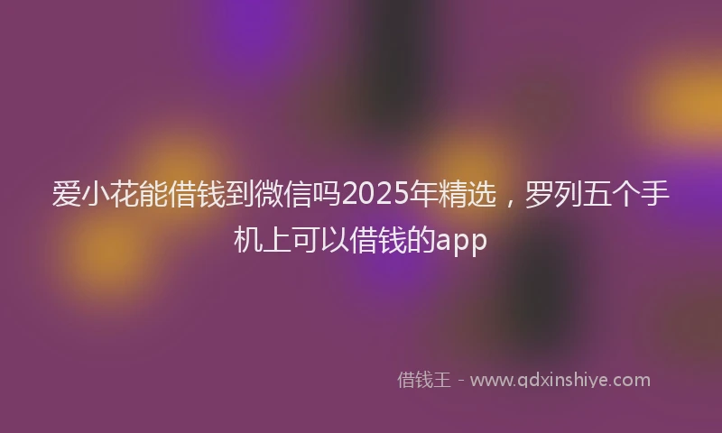 爱小花能借钱到微信吗2025年精选，罗列五个手机上可以借钱的app