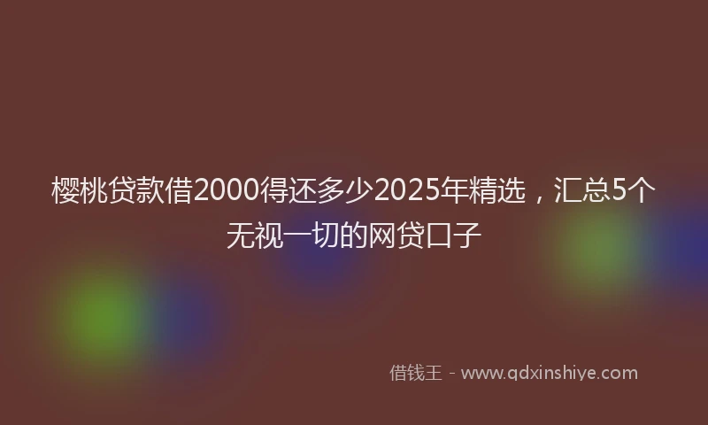 樱桃贷款借2000得还多少2025年精选，汇总5个无视一切的网贷口子