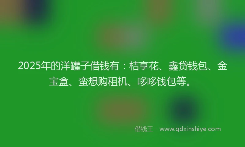 2025年的洋罐子借钱有：桔享花、鑫贷钱包、金宝盒、蛮想购租机、哆哆钱包等。
