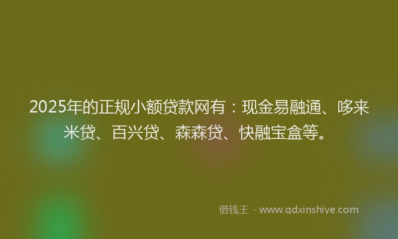 2025年的正规小额贷款网有：现金易融通、哆来米贷、百兴贷、森森贷、快融宝盒等。
