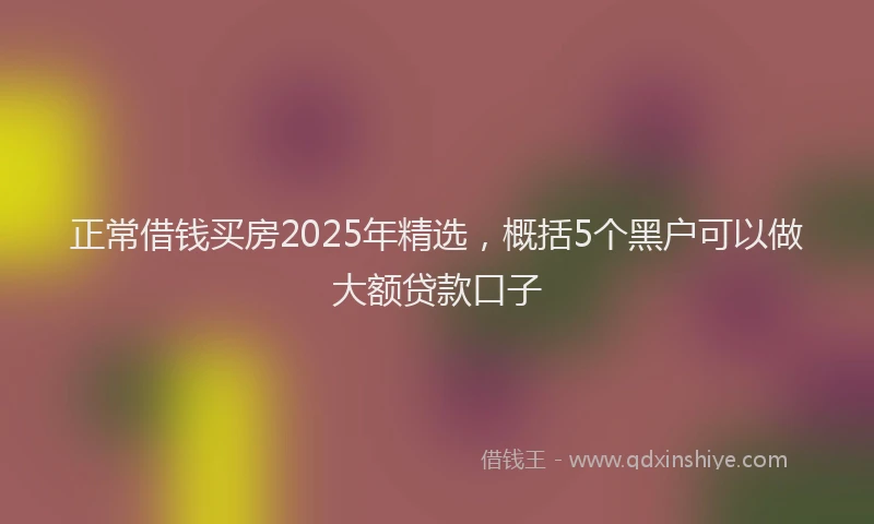 正常借钱买房2025年精选，概括5个黑户可以做大额贷款口子