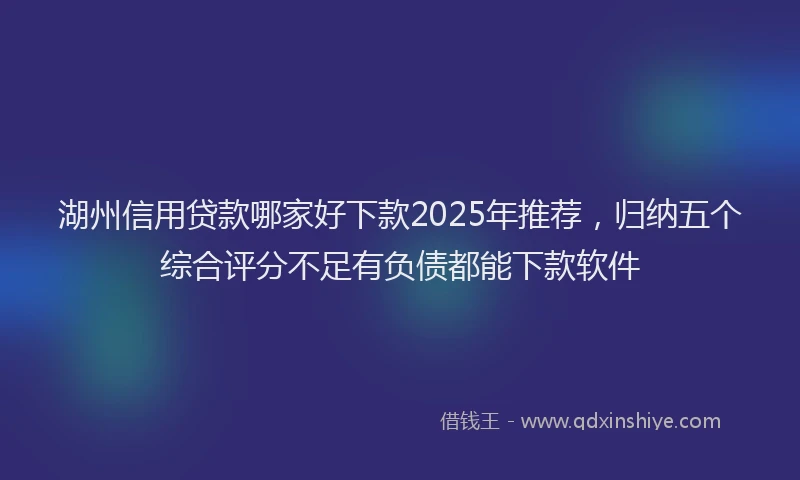 湖州信用贷款哪家好下款2025年推荐，归纳五个综合评分不足有负债都能下款软件