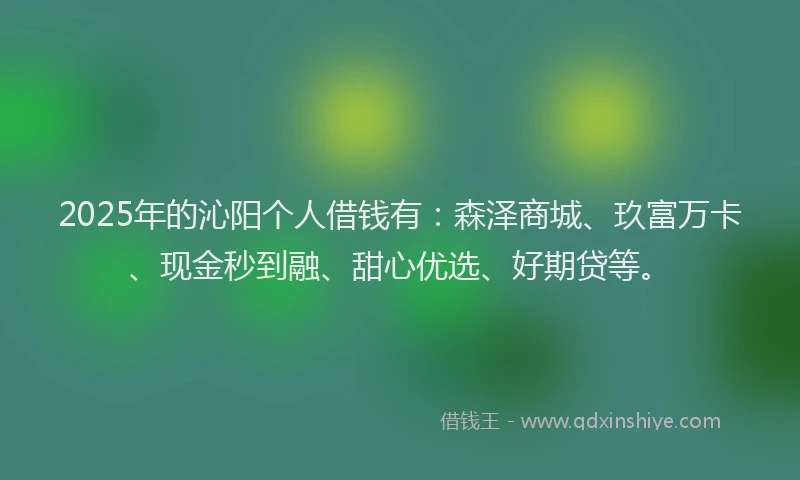 2025年的沁阳个人借钱有：森泽商城、玖富万卡、现金秒到融、甜心优选、好期贷等。