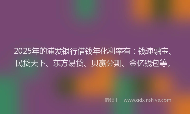 2025年的浦发银行借钱年化利率有：钱速融宝、民贷天下、东方易贷、贝赢分期、金亿钱包等。