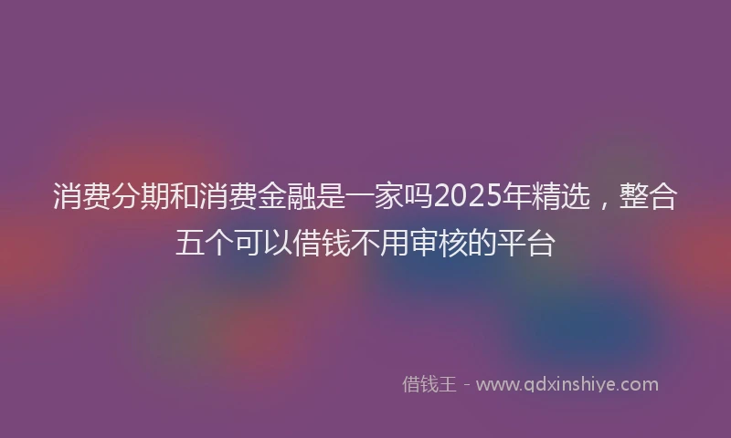 消费分期和消费金融是一家吗2025年精选，整合五个可以借钱不用审核的平台