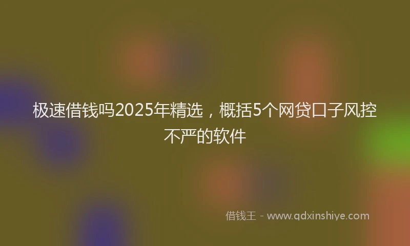 极速借钱吗2025年精选，概括5个网贷口子风控不严的软件