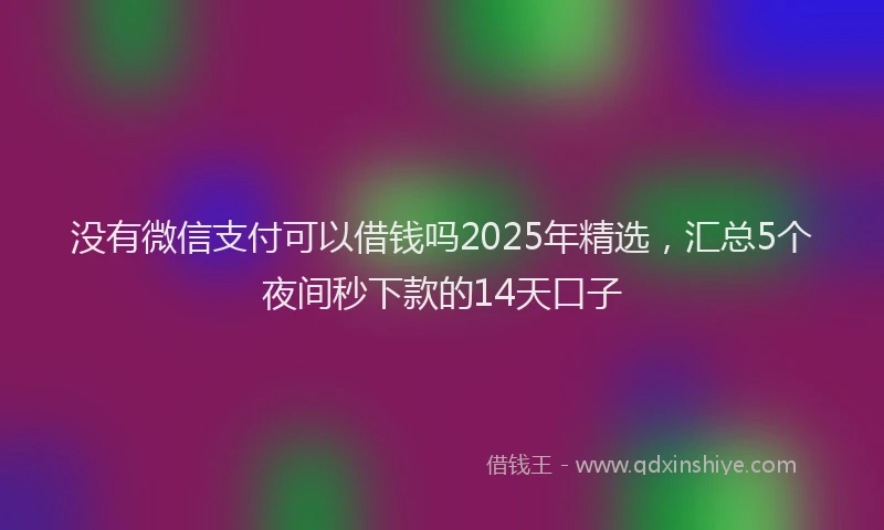 没有微信支付可以借钱吗2025年精选，汇总5个夜间秒下款的14天口子