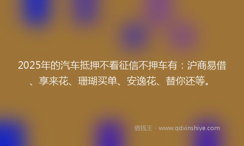 2025年的汽车抵押不看征信不押车有：沪商易借、享来花、珊瑚买单、安逸花、替你还等。