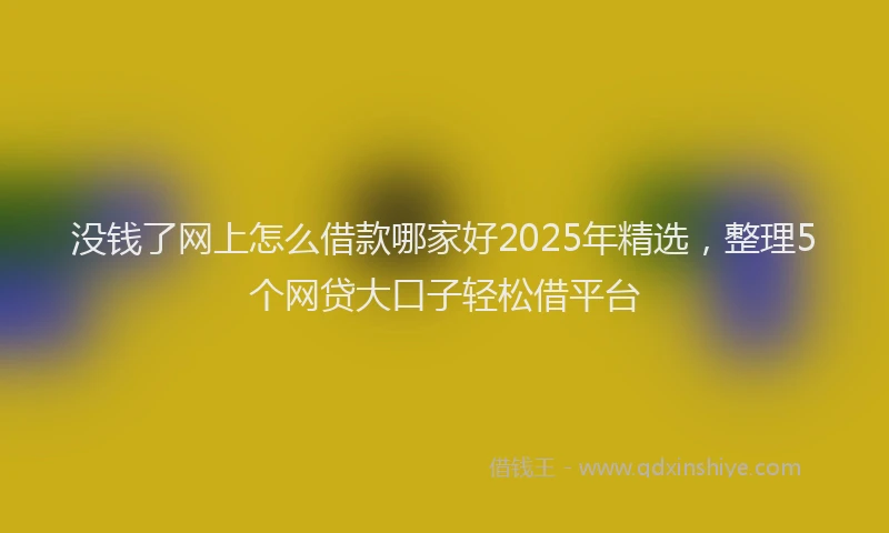没钱了网上怎么借款哪家好2025年精选，整理5个网贷大口子轻松借平台