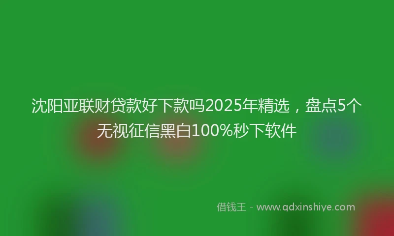 沈阳亚联财贷款好下款吗2025年精选，盘点5个无视征信黑白100%秒下软件
