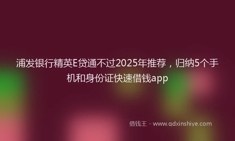 浦发银行精英E贷通不过2025年推荐，归纳5个手机和身份证快速借钱app