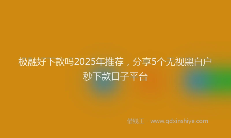 极融好下款吗2025年推荐，分享5个无视黑白户秒下款口子平台