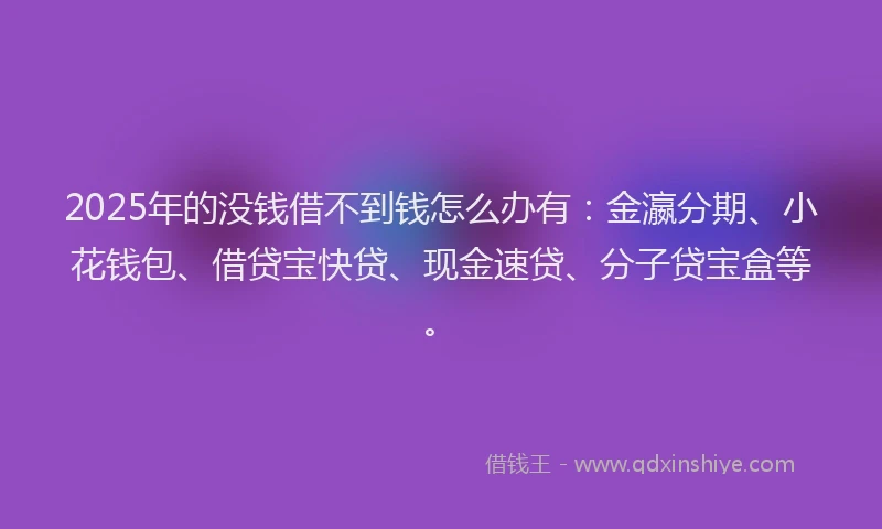 2025年的没钱借不到钱怎么办有：金瀛分期、小花钱包、借贷宝快贷、现金速贷、分子贷宝盒等。