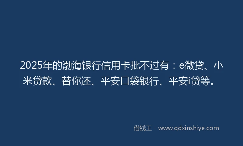 2025年的渤海银行信用卡批不过有：e微贷、小米贷款、替你还、平安口袋银行、平安i贷等。