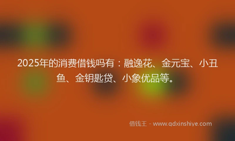 2025年的消费借钱吗有：融逸花、金元宝、小丑鱼、金钥匙贷、小象优品等。
