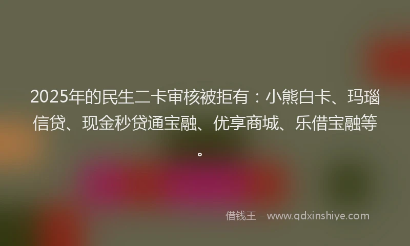 2025年的民生二卡审核被拒有：小熊白卡、玛瑙信贷、现金秒贷通宝融、优享商城、乐借宝融等。