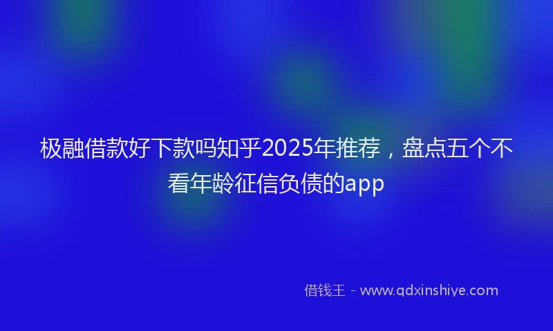 极融借款好下款吗知乎2025年推荐，盘点五个不看年龄征信负债的app