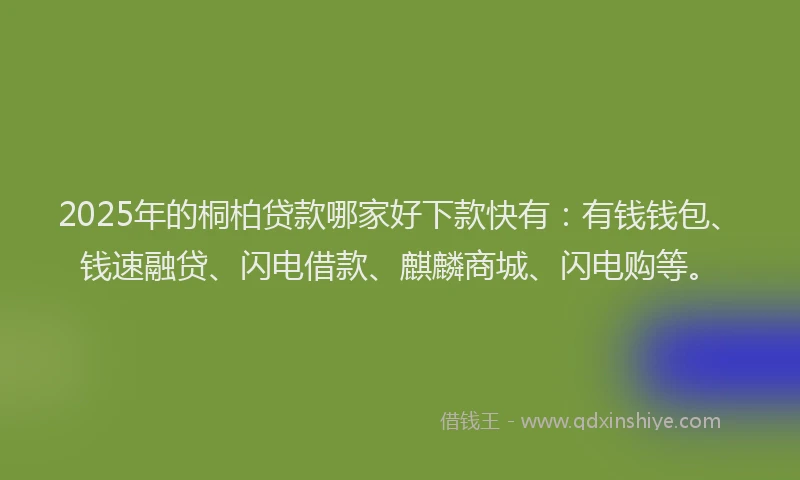 2025年的桐柏贷款哪家好下款快有：有钱钱包、钱速融贷、闪电借款、麒麟商城、闪电购等。