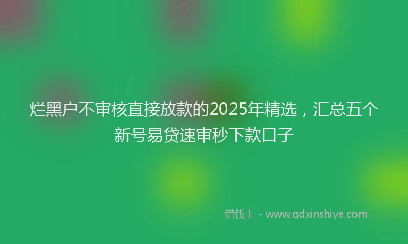 烂黑户不审核直接放款的2025年精选，汇总五个新号易贷速审秒下款口子