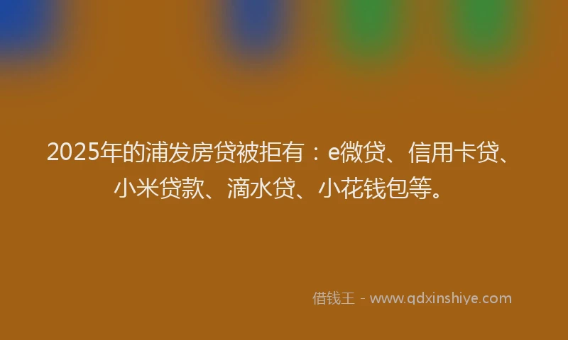 2025年的浦发房贷被拒有：e微贷、信用卡贷、小米贷款、滴水贷、小花钱包等。