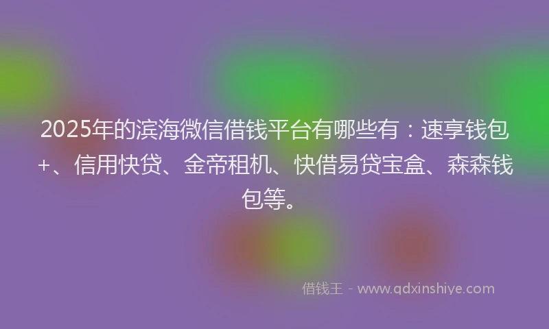 2025年的滨海微信借钱平台有哪些有：速享钱包+、信用快贷、金帝租机、快借易贷宝盒、森森钱包等。