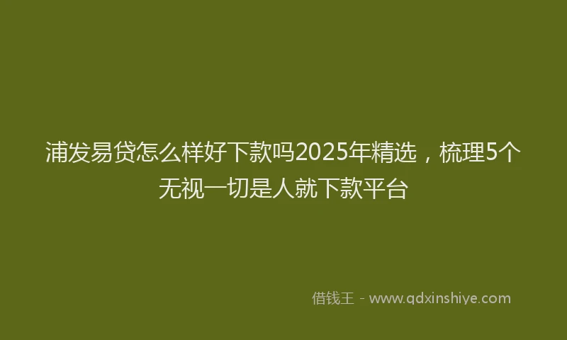浦发易贷怎么样好下款吗2025年精选，梳理5个无视一切是人就下款平台