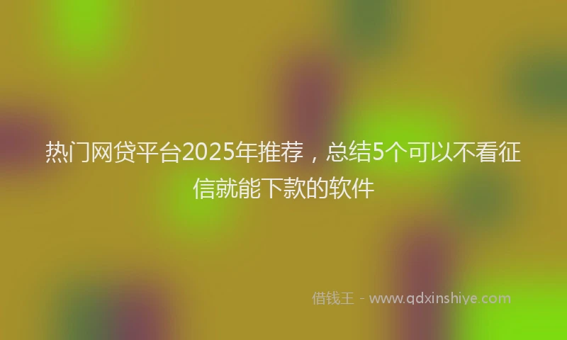 热门网贷平台2025年推荐，总结5个可以不看征信就能下款的软件