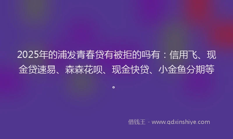 2025年的浦发青春贷有被拒的吗有：信用飞、现金贷速易、森森花呗、现金快贷、小金鱼分期等。