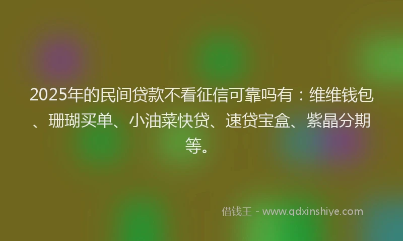 2025年的民间贷款不看征信可靠吗有：维维钱包、珊瑚买单、小油菜快贷、速贷宝盒、紫晶分期等。