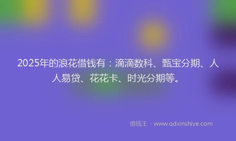 2025年的浪花借钱有：滴滴数科、甄宝分期、人人易贷、花花卡、时光分期等。