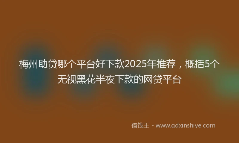 梅州助贷哪个平台好下款2025年推荐，概括5个无视黑花半夜下款的网贷平台