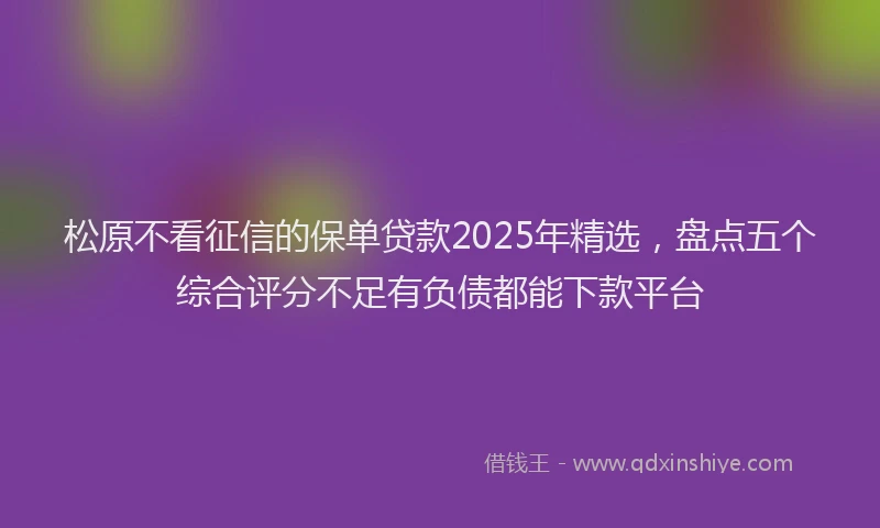 松原不看征信的保单贷款2025年精选，盘点五个综合评分不足有负债都能下款平台