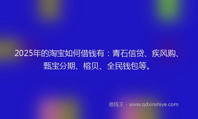 2025年的淘宝如何借钱有：青石信贷、疾风购、甄宝分期、榕贝、全民钱包等。