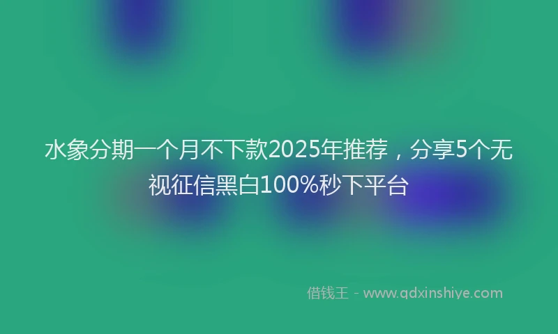 水象分期一个月不下款2025年推荐，分享5个无视征信黑白100%秒下平台