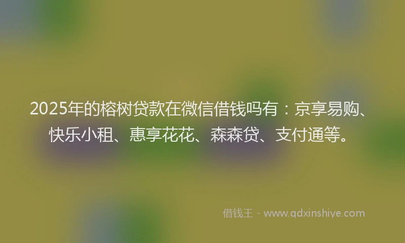 2025年的榕树贷款在微信借钱吗有：京享易购、快乐小租、惠享花花、森森贷、支付通等。