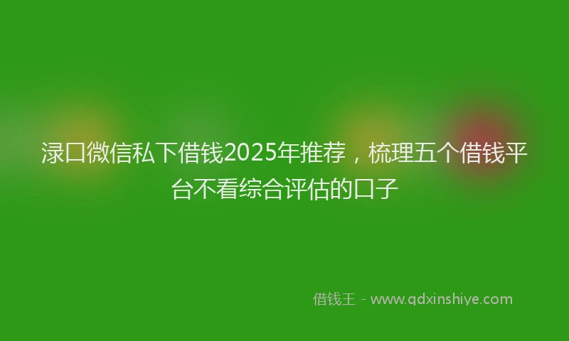 渌口微信私下借钱2025年推荐，梳理五个借钱平台不看综合评估的口子