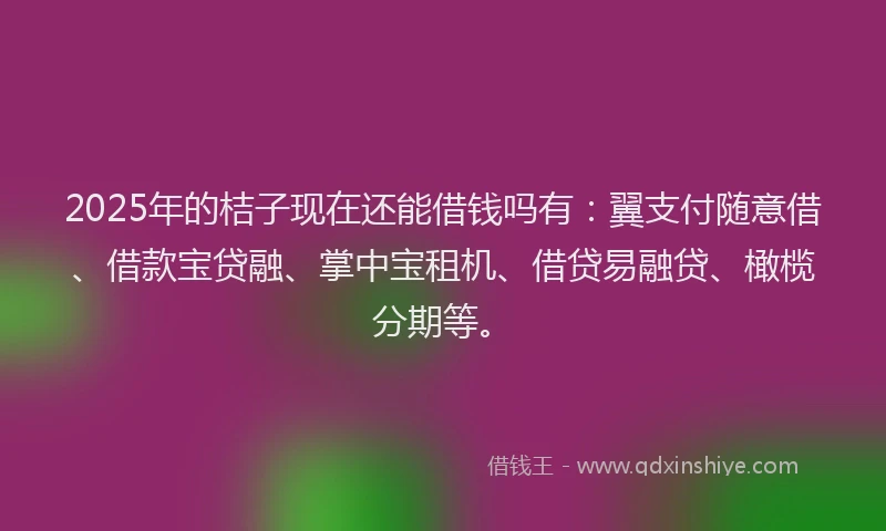 2025年的桔子现在还能借钱吗有：翼支付随意借、借款宝贷融、掌中宝租机、借贷易融贷、橄榄分期等。