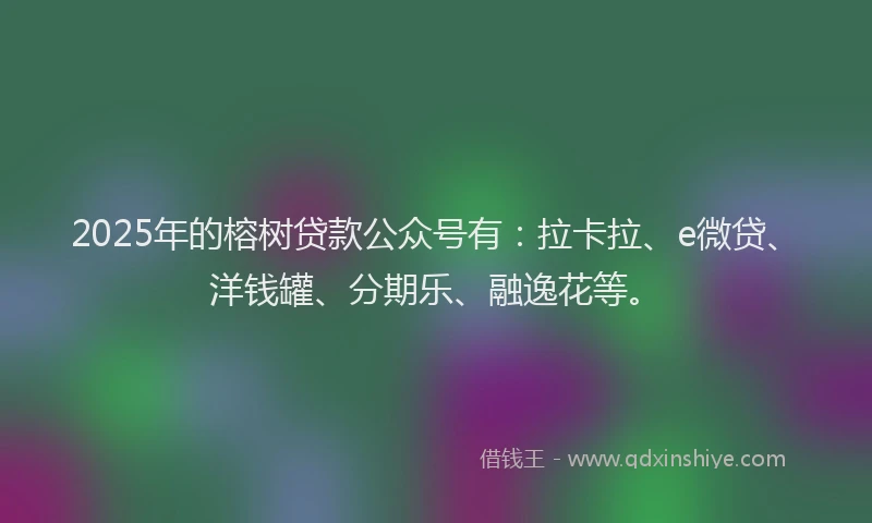 2025年的榕树贷款公众号有：拉卡拉、e微贷、洋钱罐、分期乐、融逸花等。