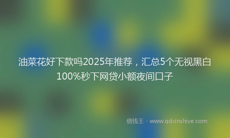 油菜花好下款吗2025年推荐，汇总5个无视黑白100%秒下网贷小额夜间口子
